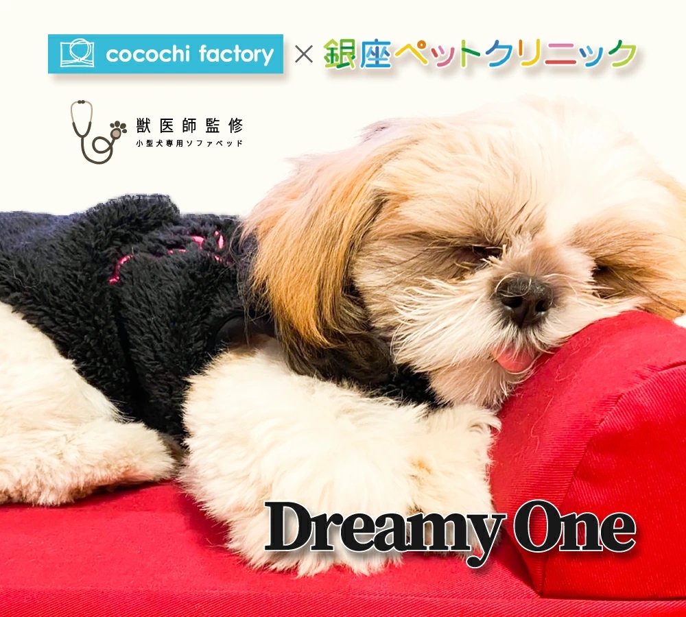 小型犬専用ソファベッド「Dreamy One」販売開始 - 富士ベッド工業公式